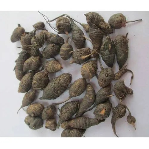 South Nagarmotha Age Group: Suitable For All