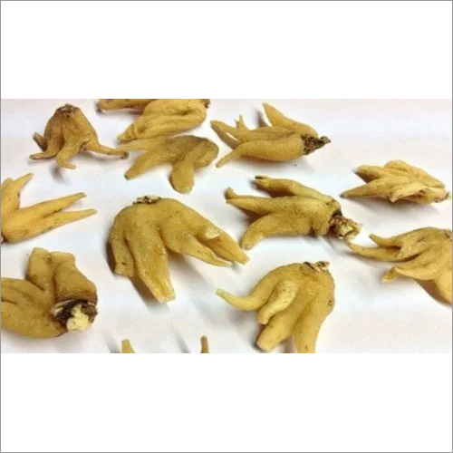 Salam Panja - Dried Herbs Variety, Herbal Medicine for All Ages, Store in Cool Conditions