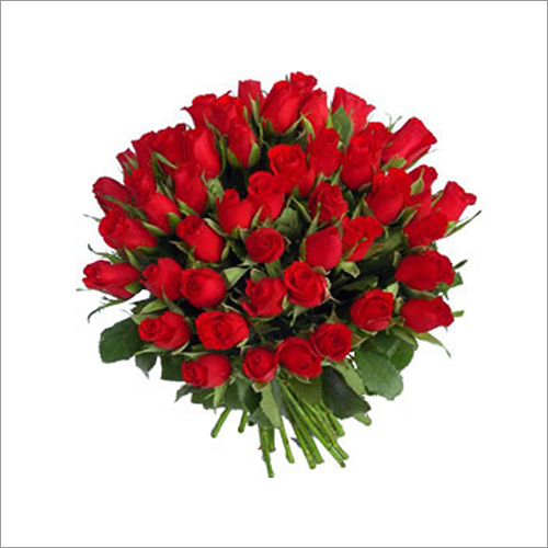 Eco-Friendly 48 Red Roses Bouquet