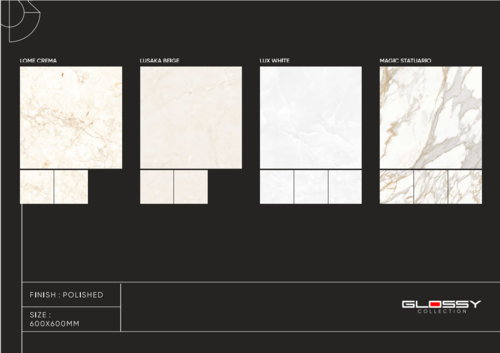 POLISHED GLAZED PORCELAIN TILES (PGVT)