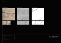 POLISHED GLAZED PORCELAIN TILES (PGVT)