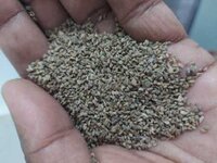 Ajwain Seeds - Specifications: Pure Natural Green/brown Granules, Aromatic Flavor, Shelf Life 24 Months | Features: Machine Cleaned, High Calcium And Iron Content