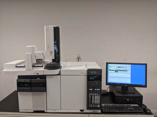 Gas Chromatography Mass Spectrometry (GC-MS)