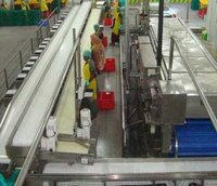 PEANUT OIL PROCESSING PLANT