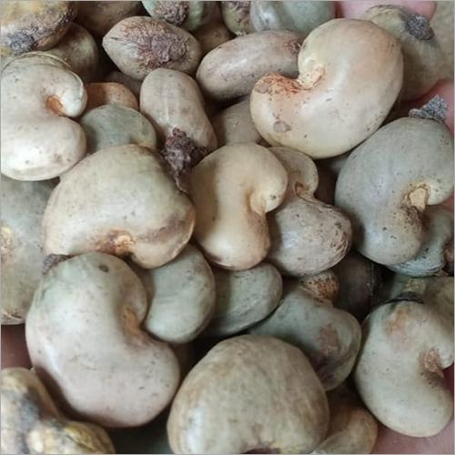 White Raw Cashew Nut