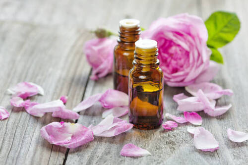 cream fragrance oil