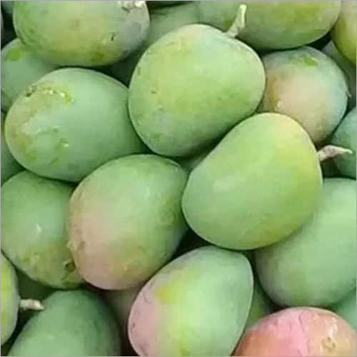 Green Devgad Hapus Mango