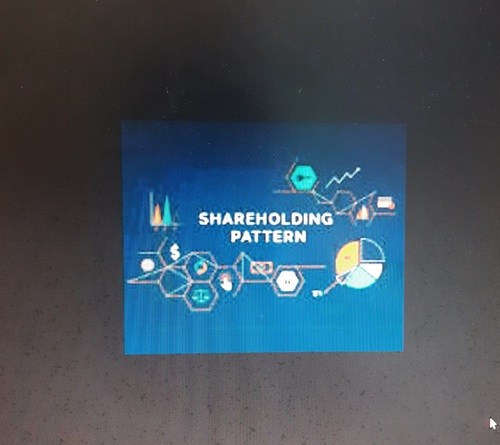 Shareholding Pattern Gleam March 2022