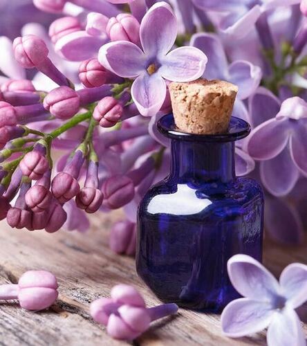 Lilac Flower oil