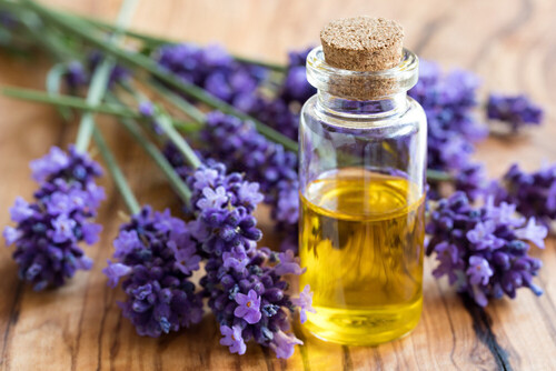 Violet Flower oil