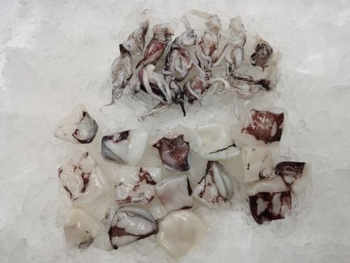 Cut Squid - Style: Frozen