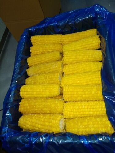 Frozen Corn Cob