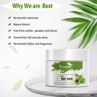 Amla Hair Mask (100 gm.)