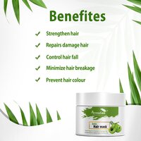 Amla Hair Mask (100 gm.)