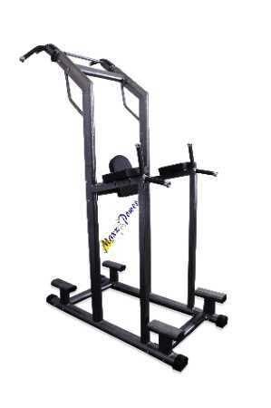 Gym Chin Dip Machine