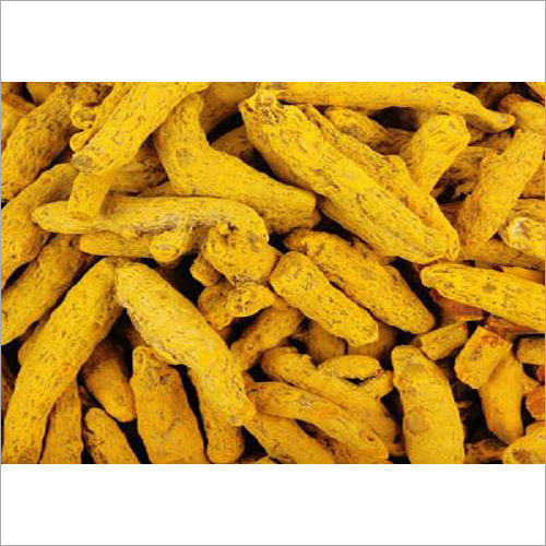 Turmeric Finger - Color: Yellow