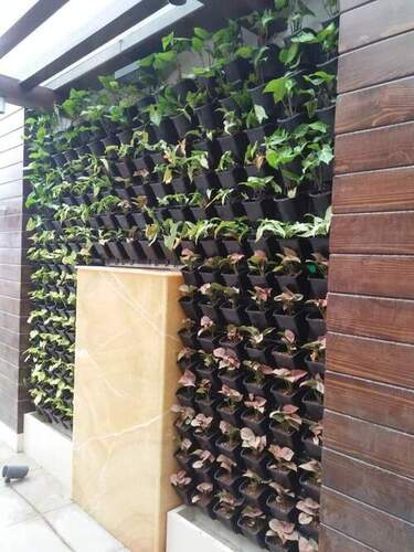 vertical green wall