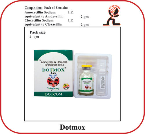Amoxycillin  Cloxacillin Sodium 4 gm  Brand- DOTMOX 4 gm