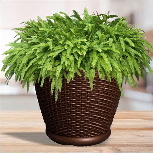 Available In Many Different Colors Euro Plastic Pot