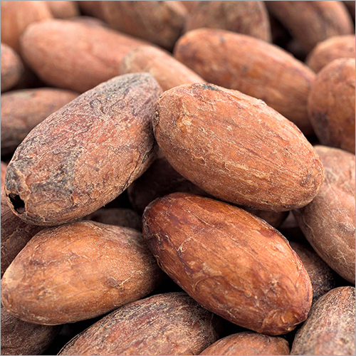 Raw Cocoa Beans By CAREGREEN INCORPORATION