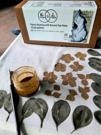DIY Kit: Fabric Painting with Natural Dye Paste (Cold palette)