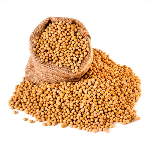 Brown Fresh Soyabean Seeds