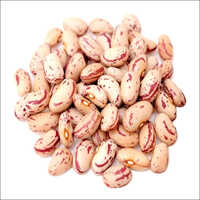 Brown Light Speckled Kidney Beans
