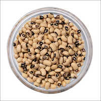 Organic Black Eyed Beans - Dried, Round Shape, 100% Pure | Easy To Boil, Weight Management, Supports Digestive Health