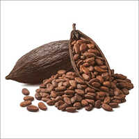 Organic Cocoa Coffee Beans