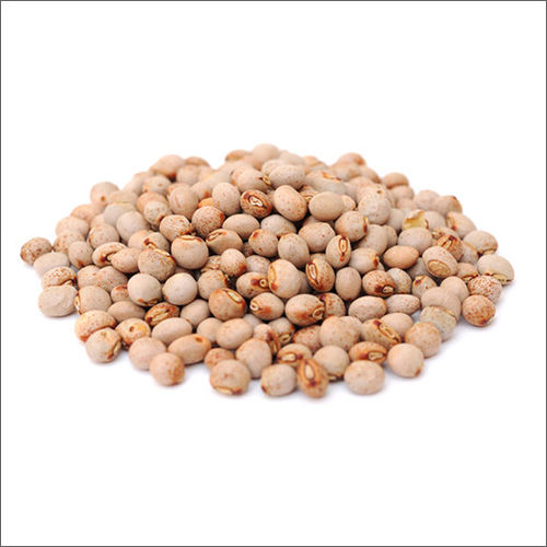 Pigeon Pea