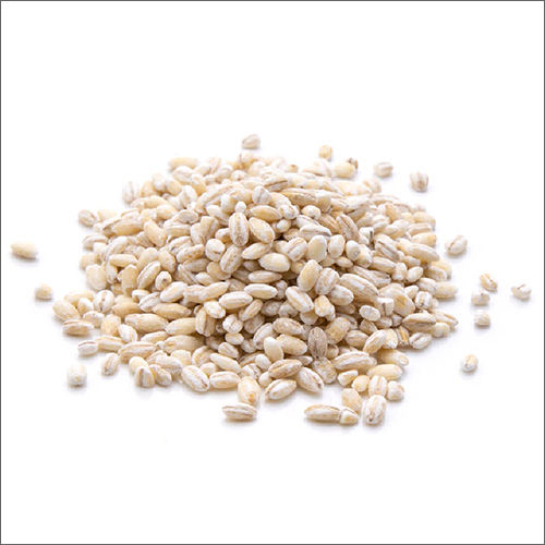 Brown Barley Grain