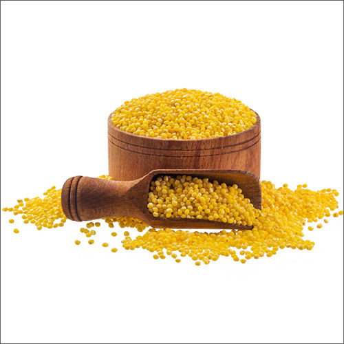 Yellow Millet Grain