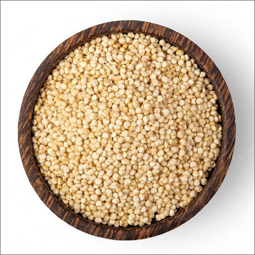 Brown Rajgira Grain at Best Price in Sidhpur, Gujarat | Prime Earth Agro