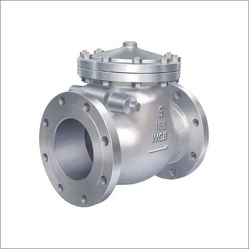 Silver Check Valve