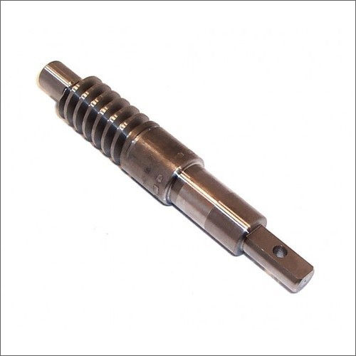 SS Worm Shaft