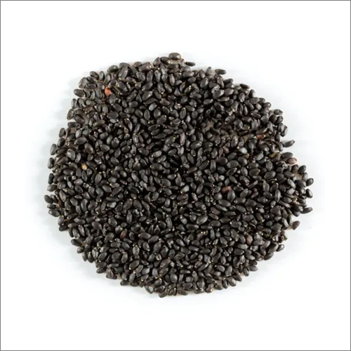 Black Tulsi Ocimum Basillicum Seed