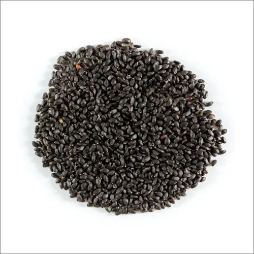 Tulsi Ocimum Basillicum Seed