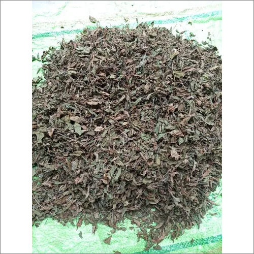 Organic Tulsi Dry Leaves Grade: A