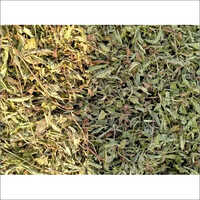 Stevia Leaves - Green Plant Leaves, 24+ Months Shelf Life | Natural Sweetener, Low-calorie, Versatile For Beverages And Baking