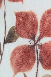 DIY Kit: Natural Water Colors