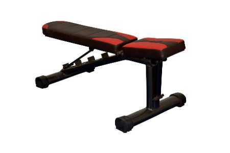 Adjustable Dumbbells Bench