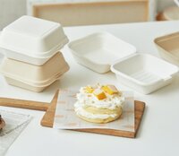 डिस्पोजेबल फूड पैकेजिंग बॉक्स एप्लीकेशन: कमर्शियल