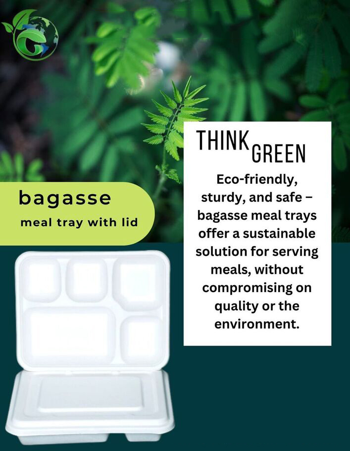 Biodegradable Compartment Plate With Lid