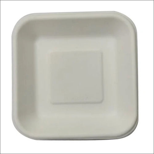 Square Biodegradable Plate