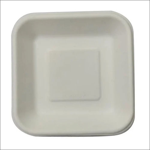 Square bagasse Biodegradable Plate