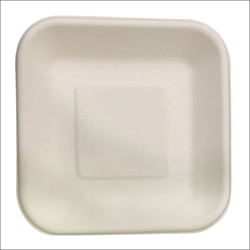 Plain Biodegradable Plate - Food Safety Grade: Yes