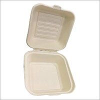 Disposable Food Packaging Box