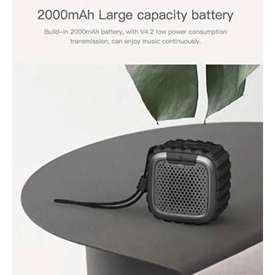 portable Bluetooth speaker with mic