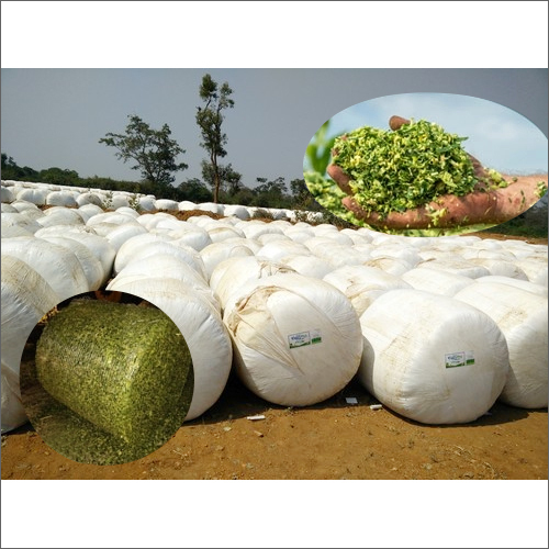 Agro Corn Silage - Selected Corn & Natural Ingredients | Promote Growth, Nil Moisture, First Class Grade for Dairy & Beef Cattle Farms