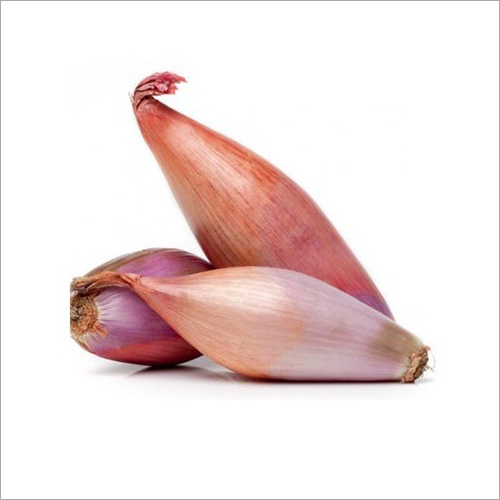 Shallots Onion - 50% Moisture, Raw Form | Antioxidant-Rich, Supports Heart, Blood Sugar, and Bone Health